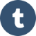 tumblr | playmods.net