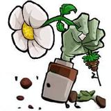 Plants vs. Zombies - Hybrid (Unlimited money) - playmod.space