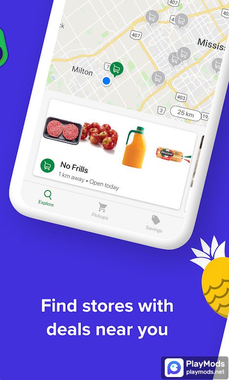 Flashfood_playmods.net