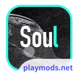 Soul(Chinese Version)4.72.0_playmods.net