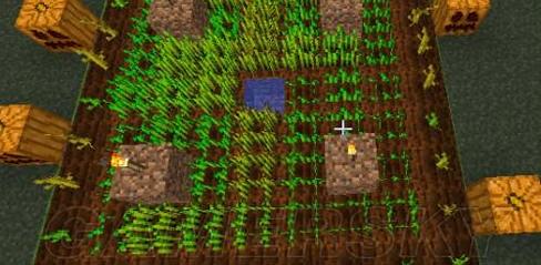 Minecraft Beginner Survival Guide: Essential Tips to Build, Explore, and Survive Your First Days - playmods.net