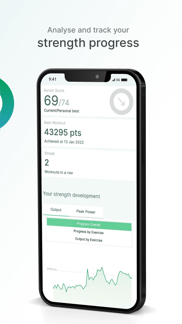 AURUM Training_playmods.net