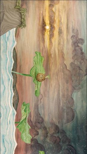 发芽啦！_playmods.net