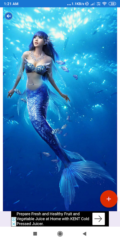 Mermaid Wallpaper: HD images, Free Pics download_playmods.net