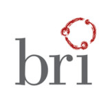 BRI-OK(Official)22.03.00_playmods.net