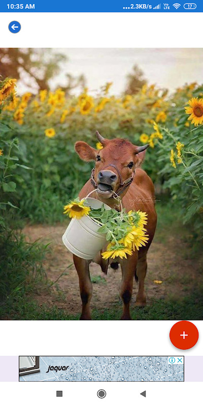 Farming HD Wallpapers_playmods.net