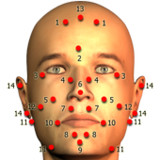 Massage Body Spots(Official)2.3.3_playmods.net