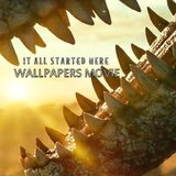 4K Wallpapers Movie HD_playmods.net