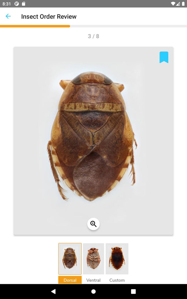 PocketMacros_playmods.net