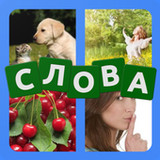 4 картинки - Угадай слово_playmods.net