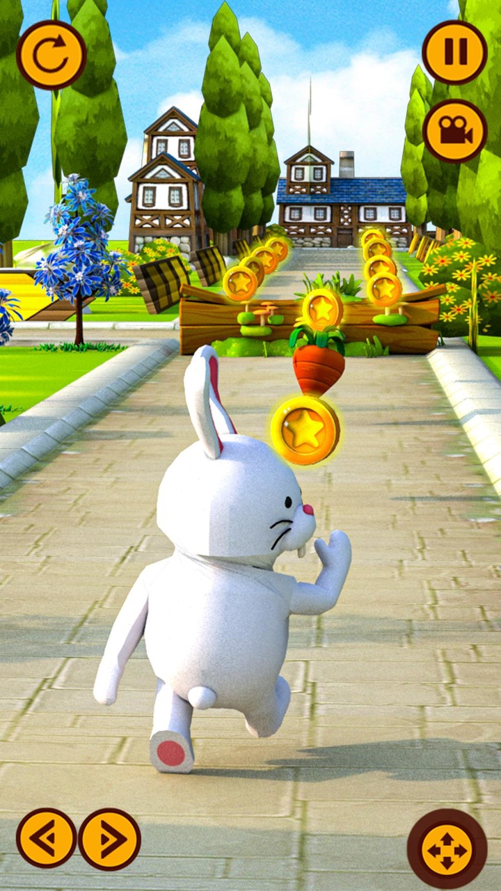 Rabbit Runner Pet Running Game_playmods.net
