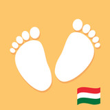 PregHello – terhességi app_playmods.net