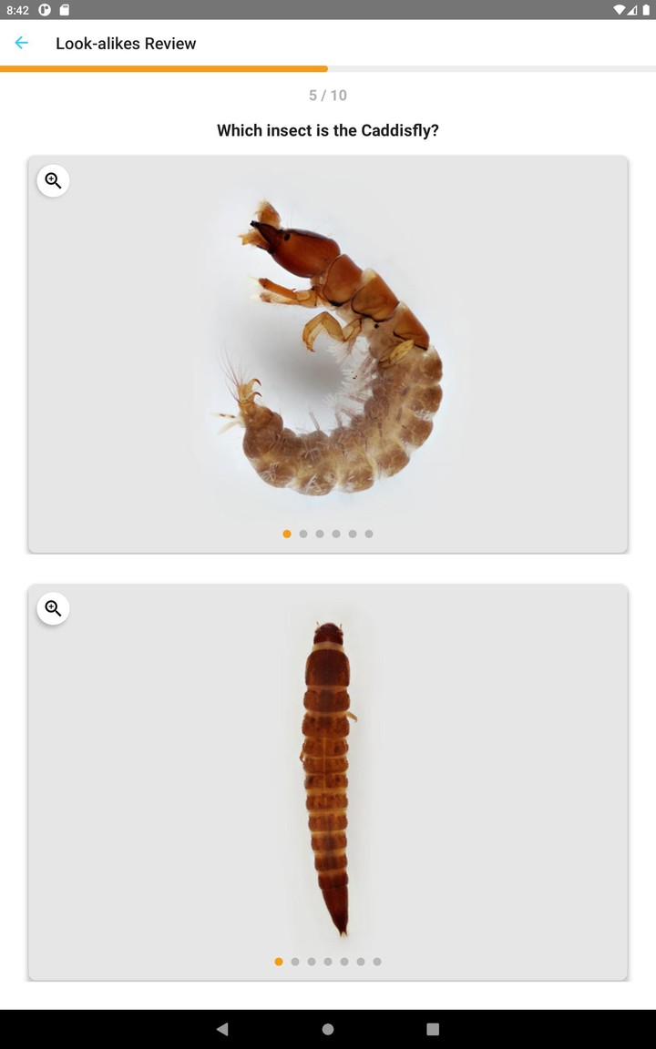 PocketMacros_playmods.net