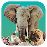 Ark Nova(Unlock full content)1.0.4_playmods.net