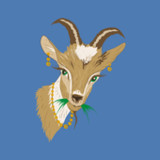 ZINKA(Official)1.10.01_playmods.net