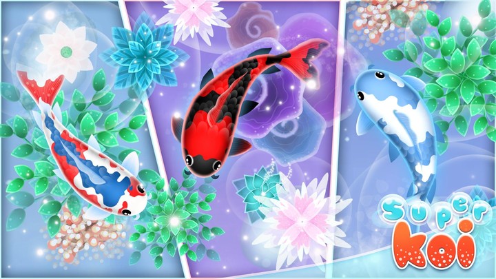 Super Koi - Build a Fish Pond_playmods.net