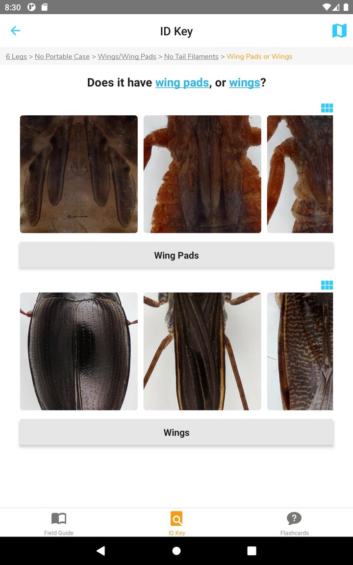 PocketMacros_playmods.net