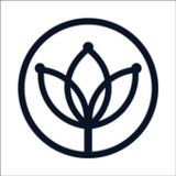 Hollywood Clinic(Official)1.7_playmods.net