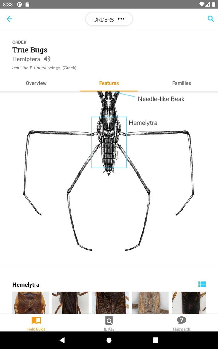 PocketMacros_playmods.net