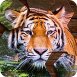 Hexa Jigsaw Puzzle(Official)12_playmods.net