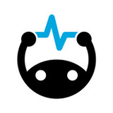 Brainscape Flashcards_playmods.net