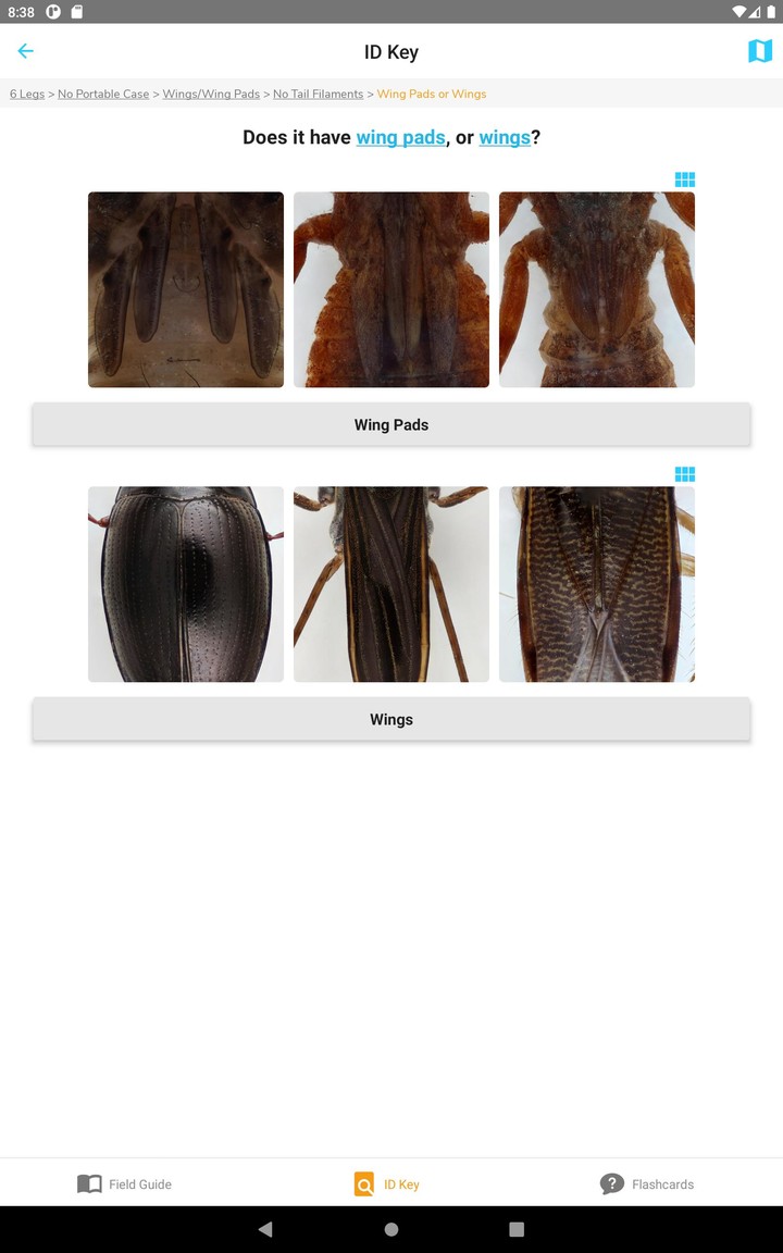 PocketMacros_playmods.net