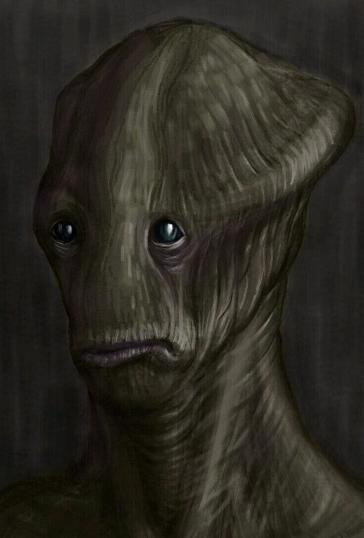 Doodledroid - paint and sketch_playmods.net