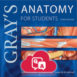 Gray's Anatomy Flash Cards(Official)4.7.1_playmods.net