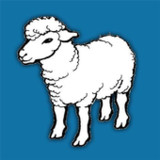 ذبائح مكة_playmods.net