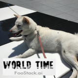 FooTime(Official)1.3.0_playmods.net