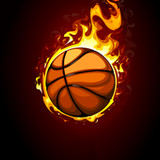 Pro Basketball_playmods.net