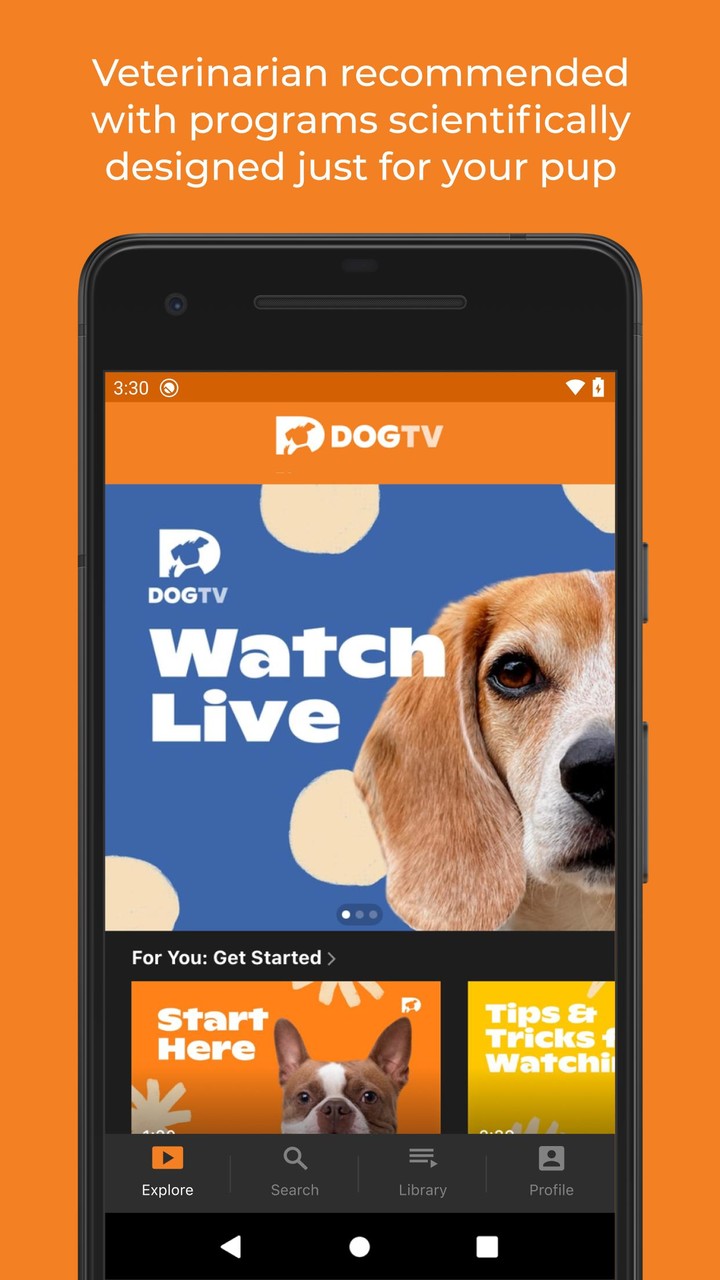 DOGTV_playmods.net
