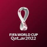 FIFA WORLD CUP 2022(Official)3.4_playmods.net