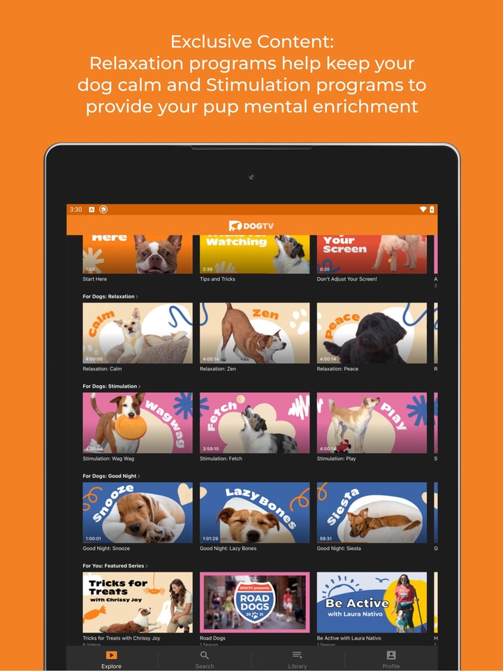 DOGTV_playmods.net
