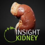 INSIGHT KIDNEY(Oficial)1.0.0_playmods.net