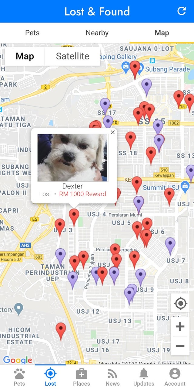 PetFinder.my_playmods.net