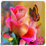 Love Flowers & Roses Stickers_playmods.net