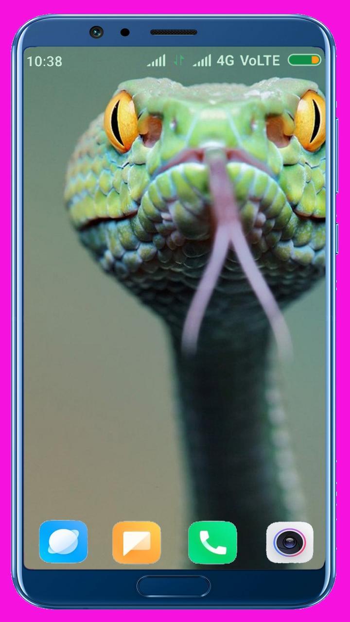 Snake HD Wallpaper_playmods.net