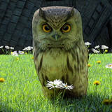 The Magical Typewriter_playmods.net