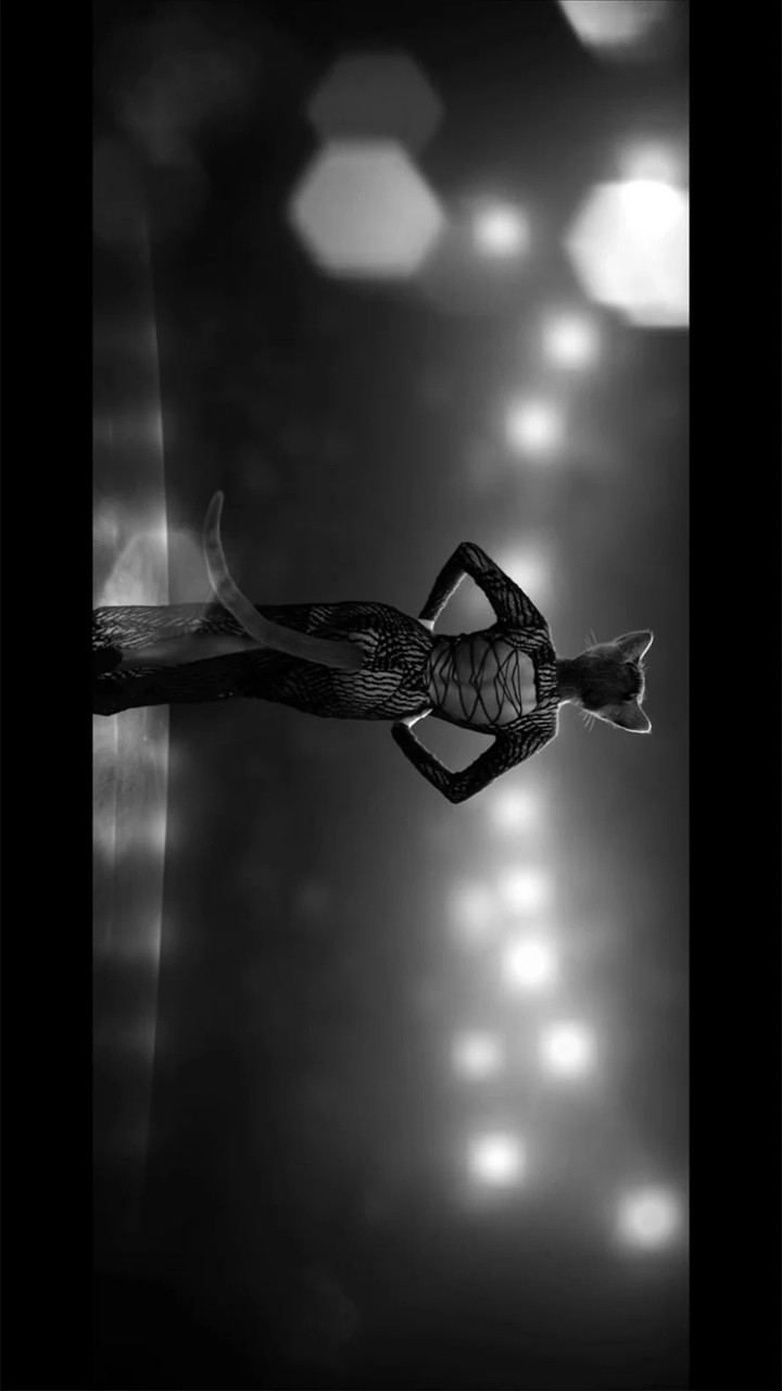 Chicken Police – Paint it RED(All contents for free)_playmods.net