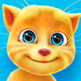Talking Ginger MOD APK 3.0.0.144 (Unlocked)(Mod)3.1.1.222_playmods.net