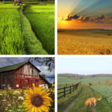 Farming HD Wallpapers_playmods.net