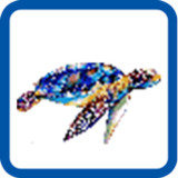 Turtle Pixel Number_playmods.net