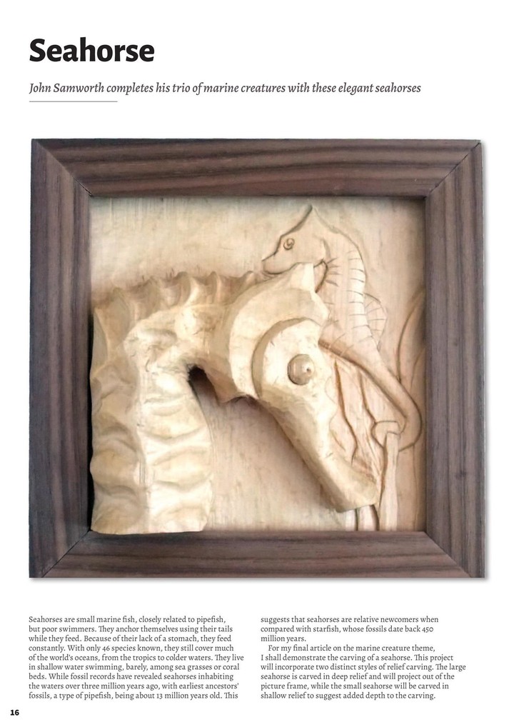 Woodcarving Magazine_playmods.net