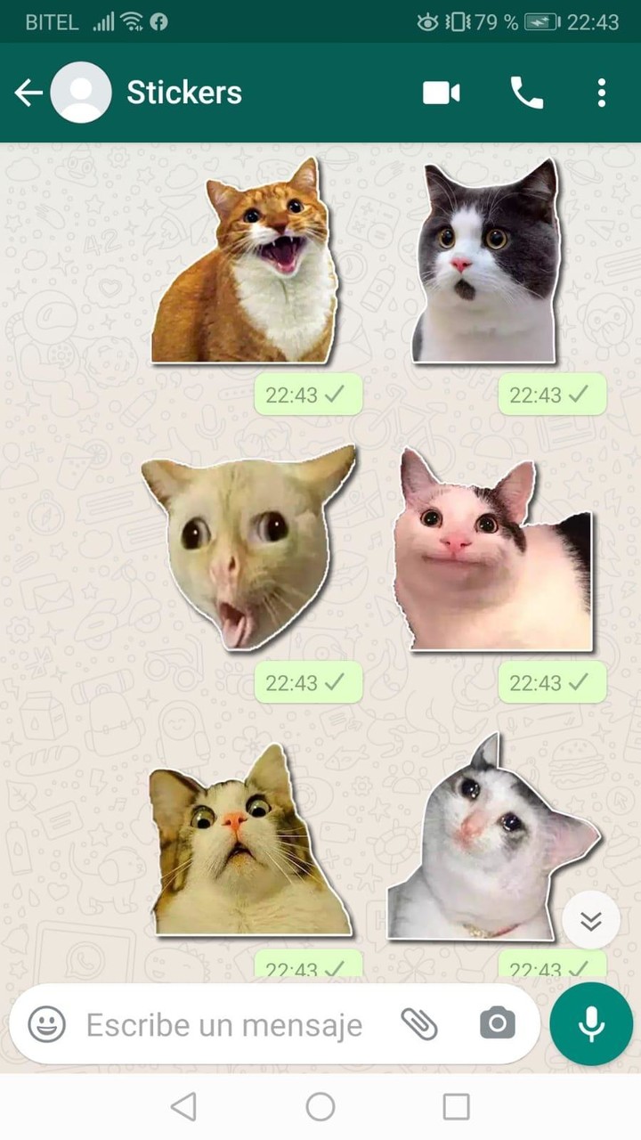 Stickers Memes y Adhesivos de Gatos para WhatsApp_playmods.net
