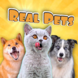 Real Pets by Fruwee_playmods.net