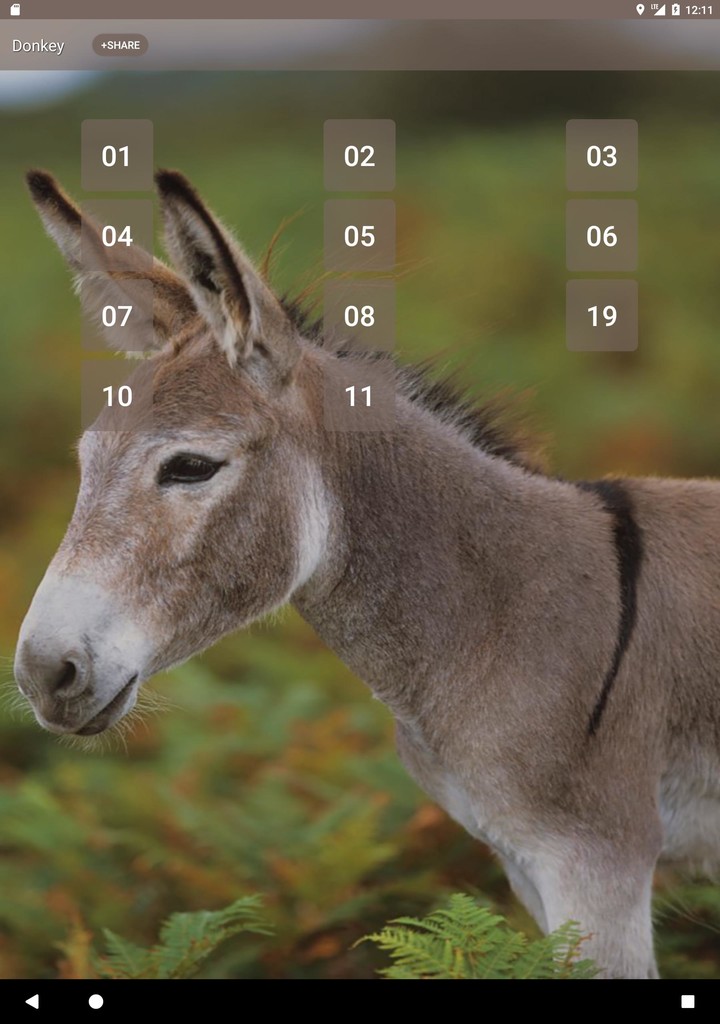 Donkey sounds_playmods.net