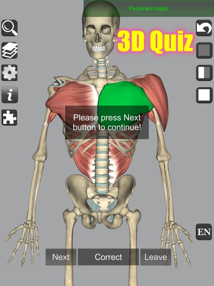 3D Bones and Organs (Anatomy)_playmods.net