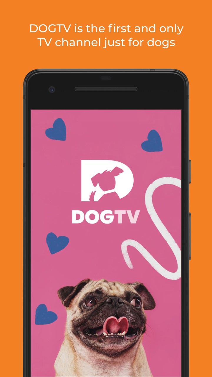 DOGTV_playmods.net