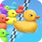 Duck Race: Name Picker(Official)1.3.8_playmods.net